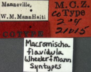Media type: image; Entomology 21015   Aspect: labels